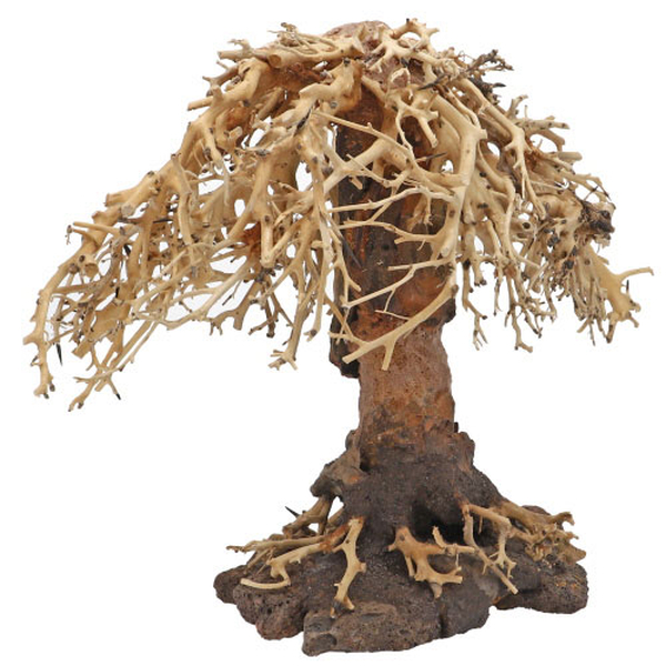 Weeping Willow, L (40 x 20 x 30cm)