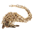 Wizard Root - B�umchen aus Aquarium-Wurzel, Handarbeit