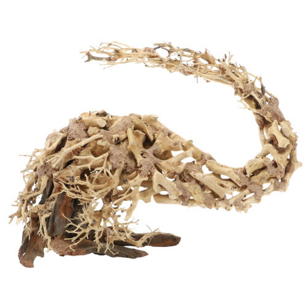 Wizard Root, M (30 x 13 x 23cm)