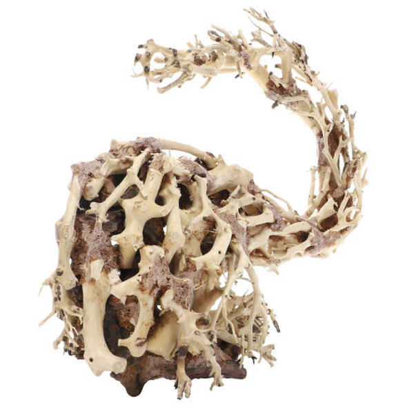 Wizard Root, M (30 x 13 x 23cm)
