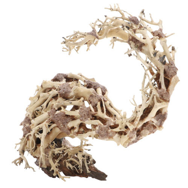 Wizard Root, M (30 x 13 x 23cm)