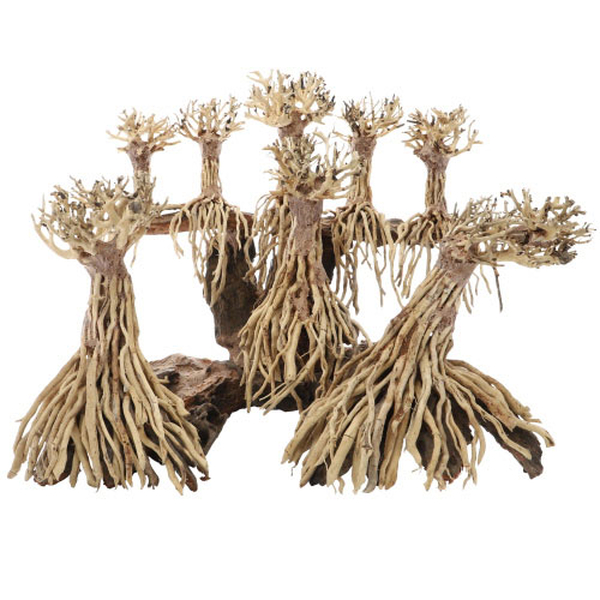 Landscape (40 x 30 x 30cm) aus Aquarium-Wurzel, Handarbeit