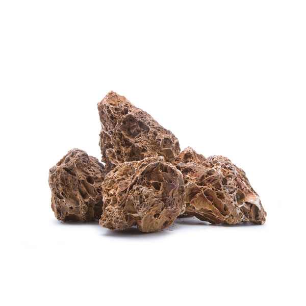 Versteinertes Laub (Maple Leaf Stone) für Aquarium Hardscape