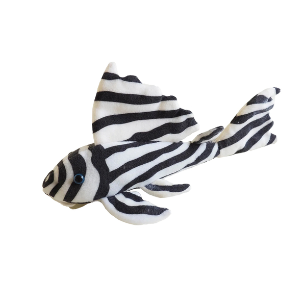 GreenPleco Zebra Pleco L46 Wels - Pl�schtier