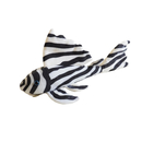 GreenPleco L46 Zebra Pleco Wels - Plüschtier