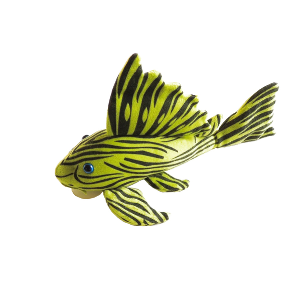 GreenPleco L190 Royal Pleco Panaque Wels - Plschtier