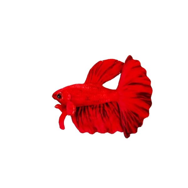 GreenPleco Betta splendens Red Kampffisch - Plschtier