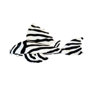 GreenPleco L46 Zebra Glowing Wels XXL 65cm - Plüschtier