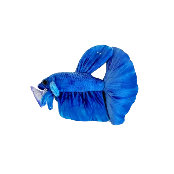 GreenPleco Betta splendens Blue Kampffisch - Plschtier