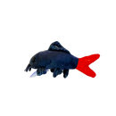 GreenPleco Red Tail Shark Feuerschwanz - Plüschtier