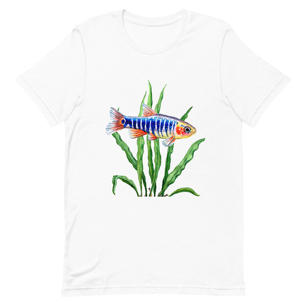 AquaGear Danio-Shirt Quergestreifter Zwergbärbling
