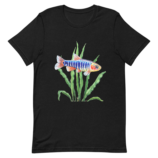 AquaGear Danio-Shirt Quergestreifter Zwergbrbling 3XL Black