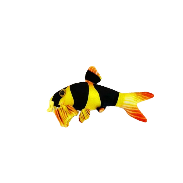 GreenPleco Clown loach Prachtschmerle - Plschtier
