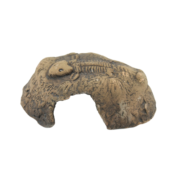 CeramicNature Fossil stone | Aquariumdeko