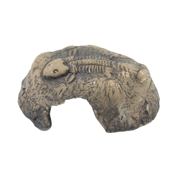 CeramicNature Fossil stone M | Aquariumdeko
