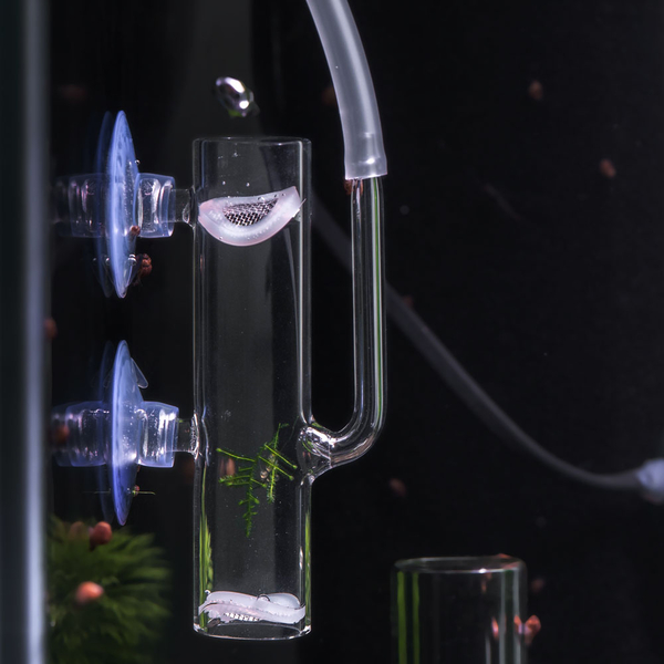 Inkubator - Egg Tumbler f. Garnelen u. Zierfische aus Glas 9x2x2 cm
