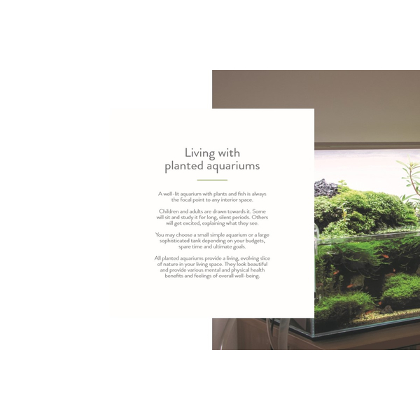 Tropica 50 Years Under The Surface Book - English