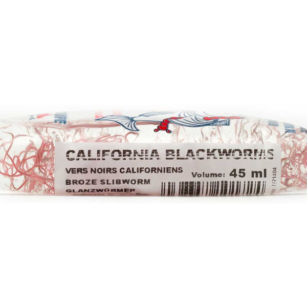 Glanzwrmer 45ml - Lumbriculus variegatus (Lebendfutter) Sofort verfgbar