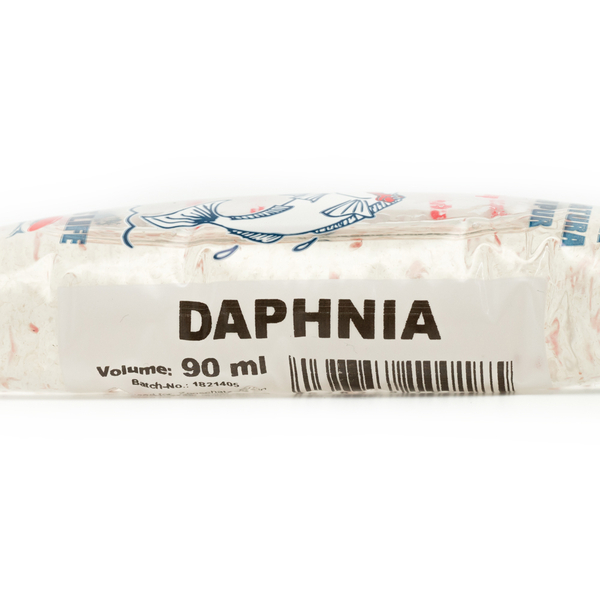 Wasserflöhe 90 ml - Daphnia (Lebendfutter)