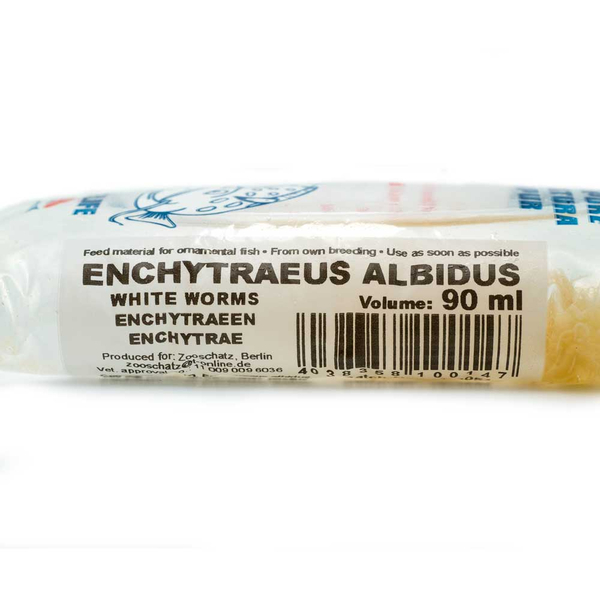Enchytren 90 ml - Enchytraeus cf. albidus (Lebendfutter)