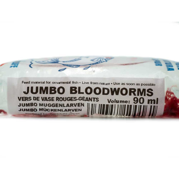Jumbo Rote Mckenlarven 90 ml - Chironomus cf. plumosus (Lebendfutter) Vorbestellung/Reservierung