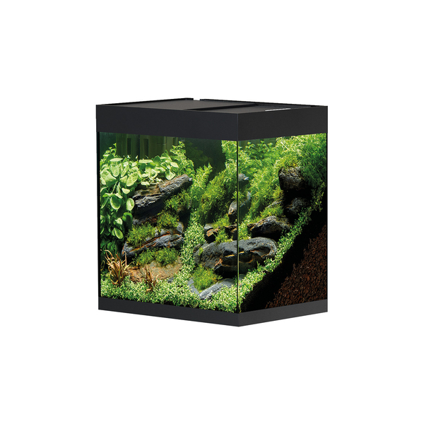 Oase StyleLine 85 Aquarium