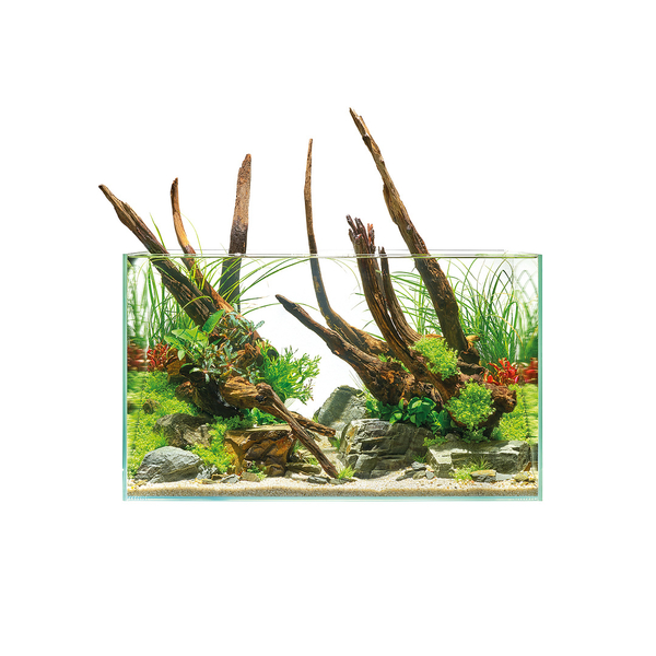 Oase ScaperLine Aquarium