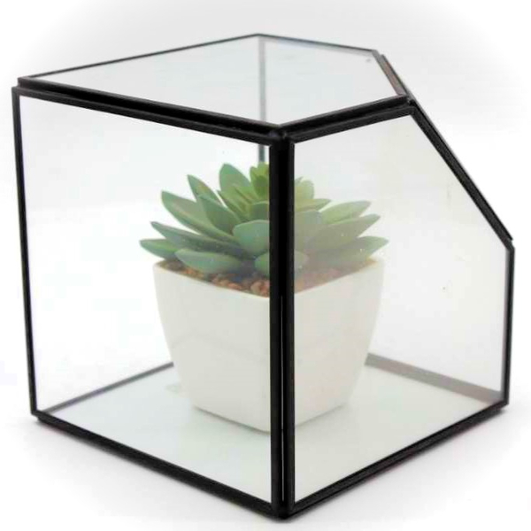 Sukkulenten Vase