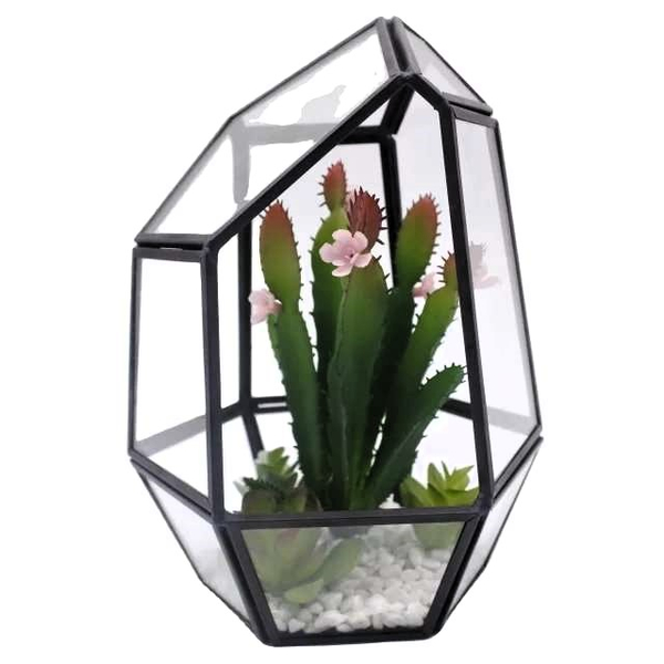 Sukkulenten Vase