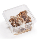 Heimchen Subadult 50 Stk / Dose - Acheta domesticus...
