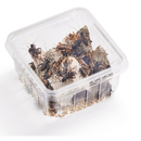 Zweifleckgrillen Subadult 30 Stk / Dose - Gryllus...