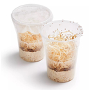 Drosophila melanogaster - kleine Fruchtfliege 500ml...