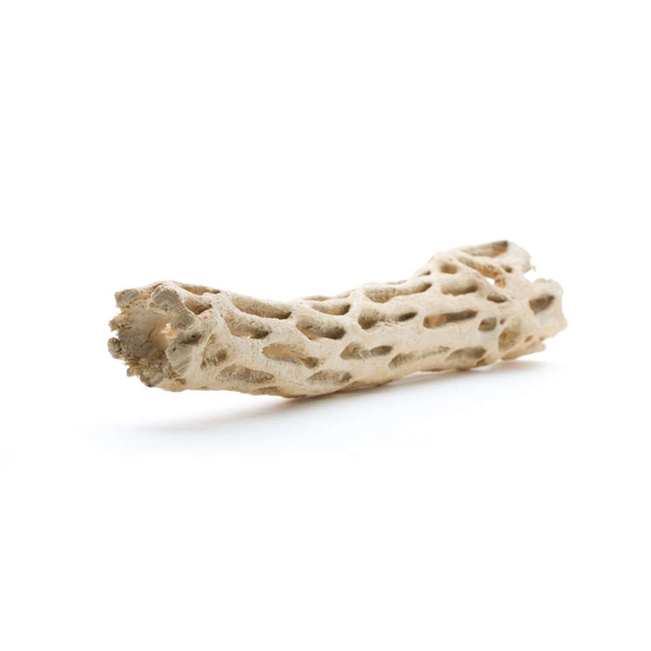 Vuka Holz - Cholla Wood