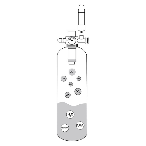 Arka myScape CO2 System Set - selbst befllbar