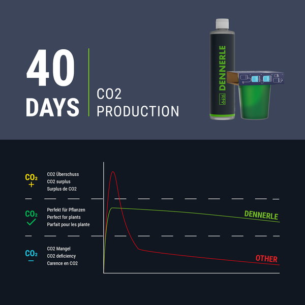 Dennerle Carbo Bio Style 120 (Bio Co2)