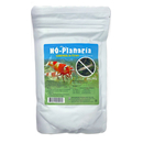 Genchem No-Planaria 50g control in 72 Hours